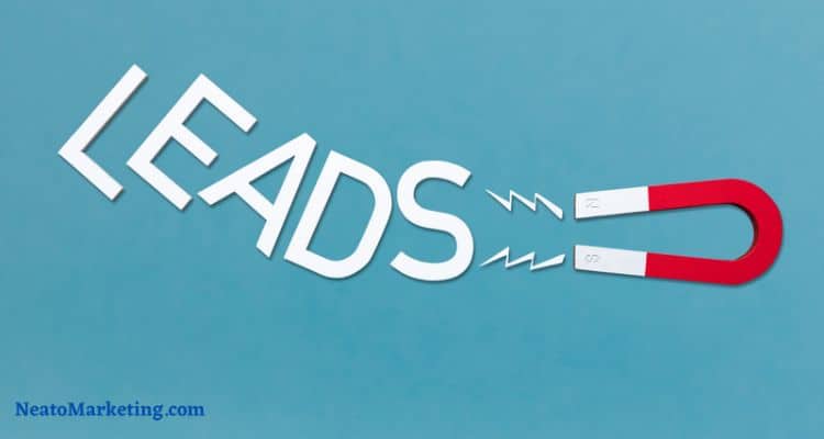 lead magnets